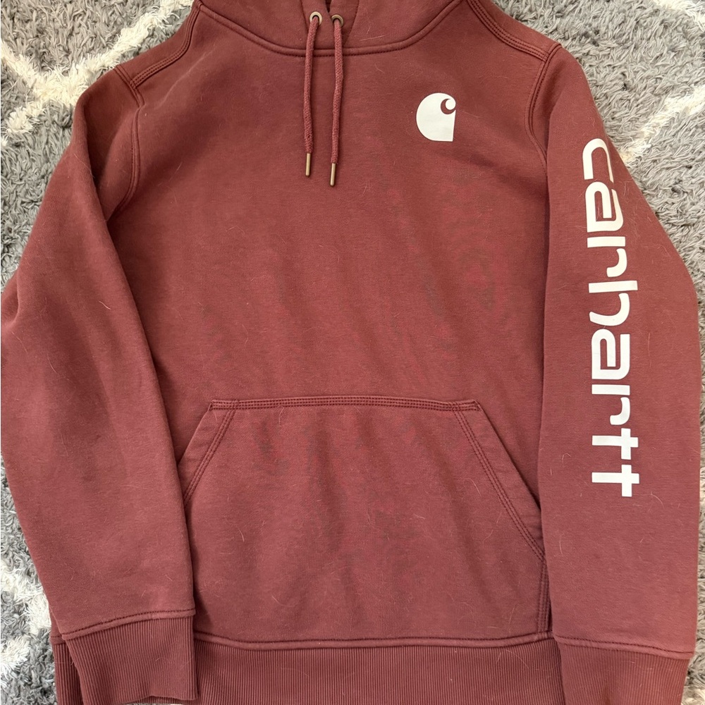 Carhartt Men's Rust Color Hooded Sweatshirt